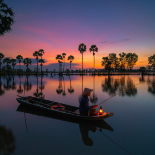 Đạt Đỗ 